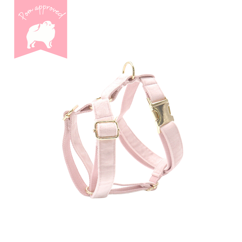 Hundegeschirr "Velvet dream"