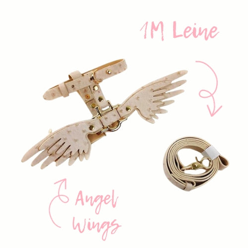 Dog Harness Set “Angel Wings”