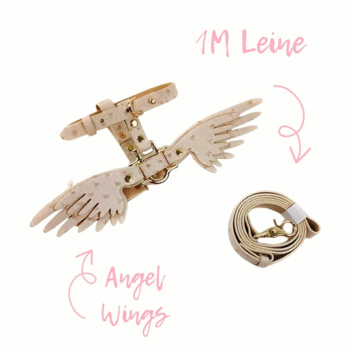 🎁 Hundegeschirr Set "Angel Wings" (100% off)