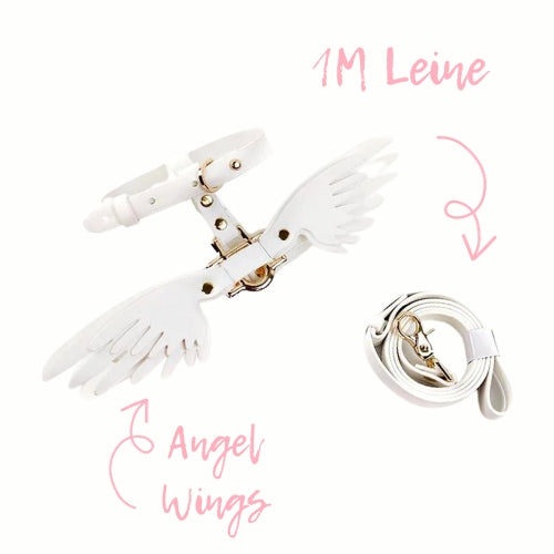 Hundegeschirr Set "Angel Wings"