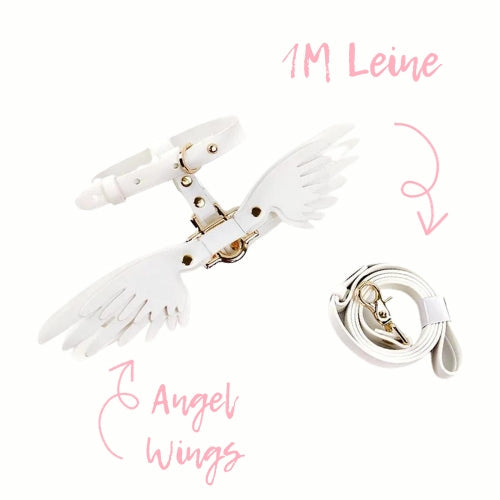 🎁 Hundegeschirr Set "Angel Wings" (100% off)