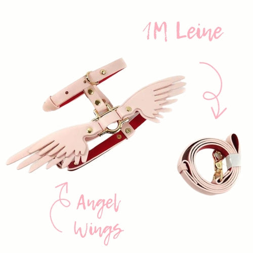 🎁 Hundegeschirr Set "Angel Wings" (100% off)