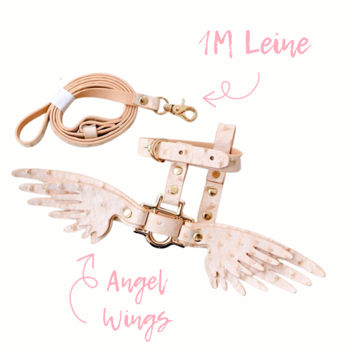 Dog Harness Set “Angel Wings”